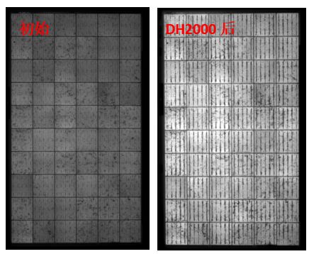 圖13 組件采用VA33含量EVA封裝后，DH2000前后的EL圖